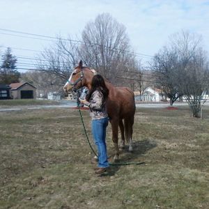 Meet your Posher, Shirley